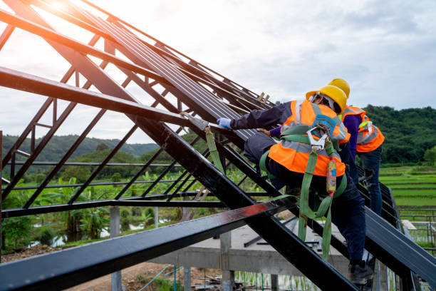 Best Roof Leak Repair  in Pine Island, MN