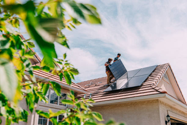 Best Storm Damage Roof Repair  in Pine Island, MN