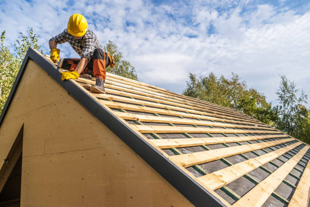 Quick and Trustworthy Emergency Roof Repair Services in Pine Island, MN