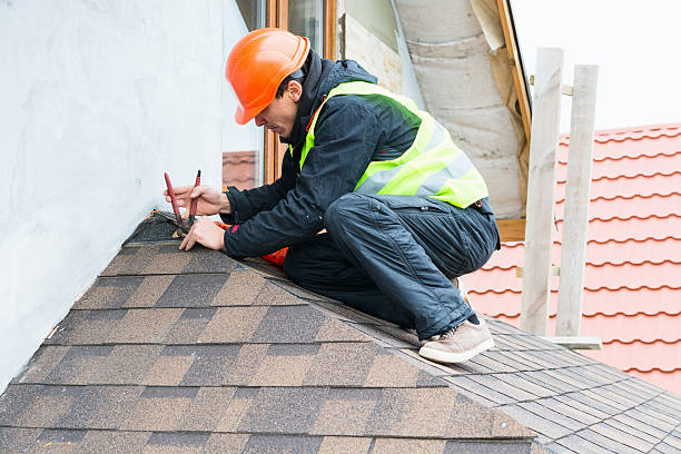 Best Roof Repair Services  in Pine Island, MN
